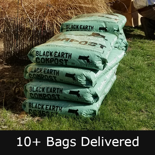 10 or More Bags 10 or More Bags