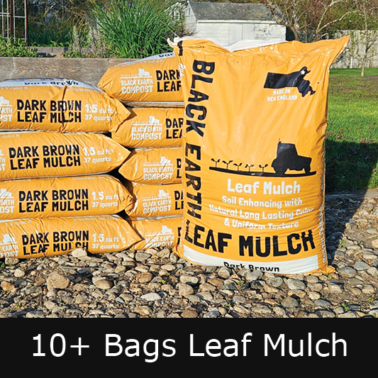 Bagged Leaf Mulch Bagged Leaf Mulch